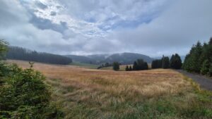 Sonne