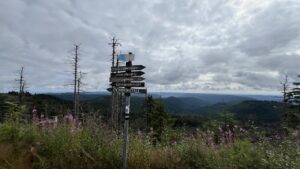 Wegweiser